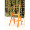 Thang nhôm 2 bậc Advindeq AV302